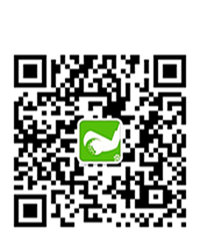 header_qrcode_spring_42f28fc.png