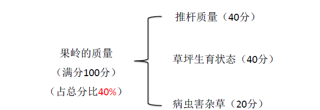 11.png