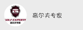 高尔夫专家